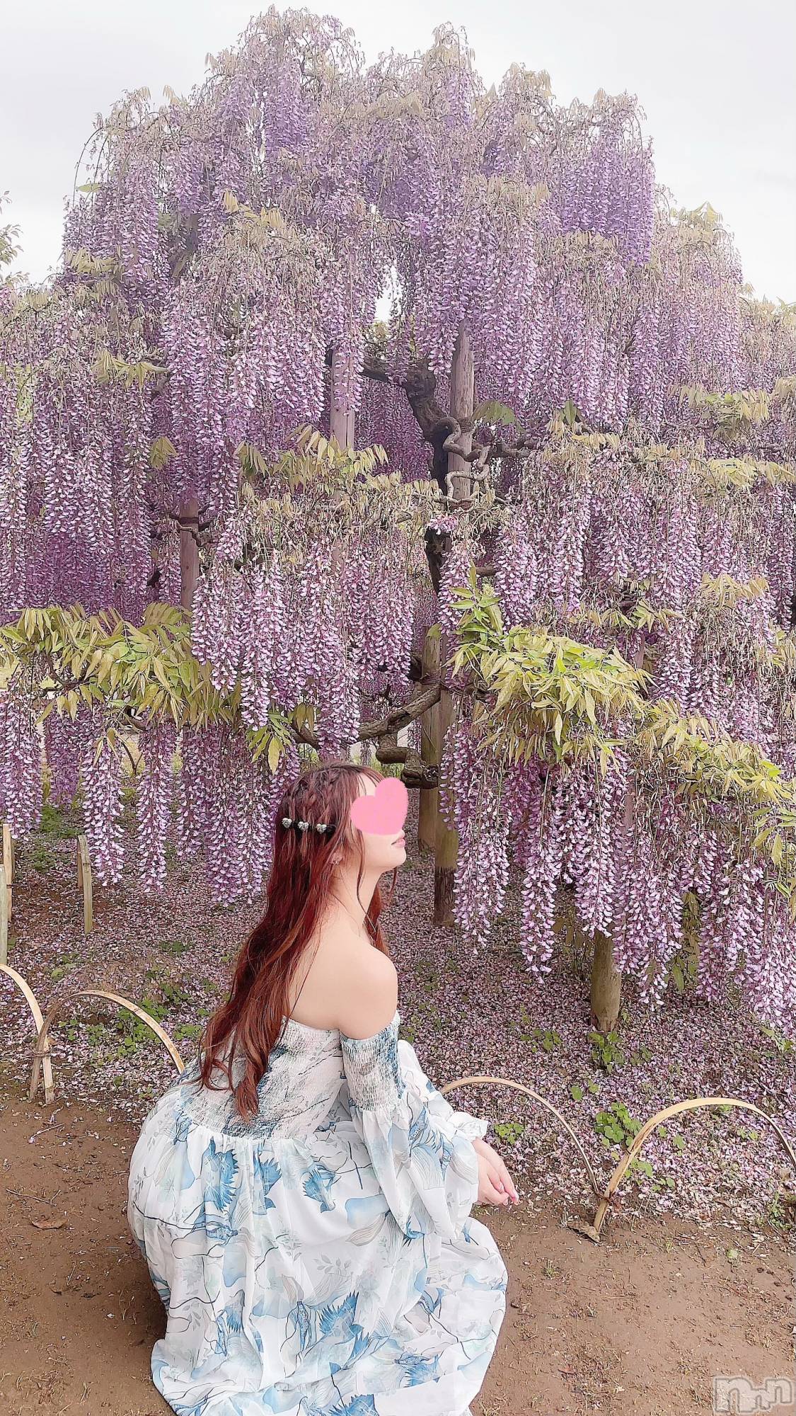 㡦ȯĥꥢ󥺥Levre(졼֥) 2024ǯ515̥֥ƴι✨̿♡