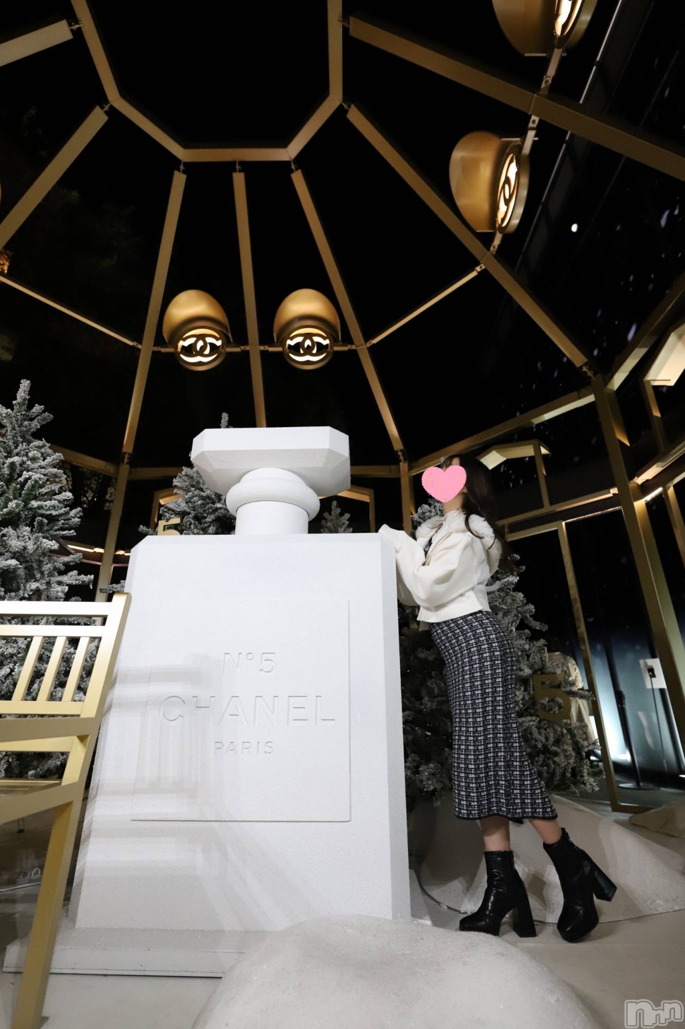 㡦ȯĥꥢ󥺥Levre(졼֥) 2024ǯ1215̥֥֥ɥɥäѤʤ🩷ྀི