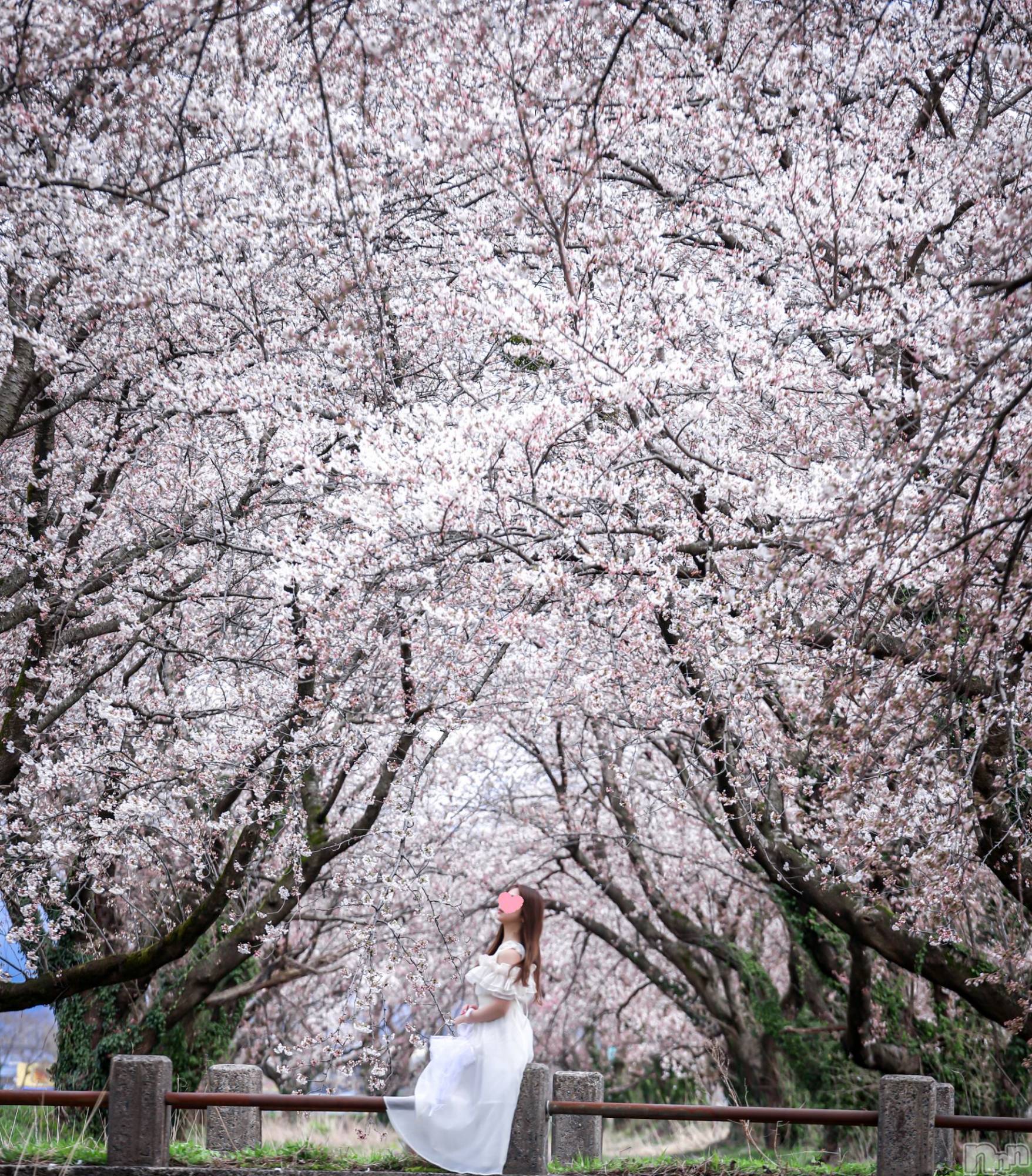 㡦ȯĥꥢ󥺥Levre(졼֥) 2025ǯ413ֺ̥֥ߤ🌸❤️
