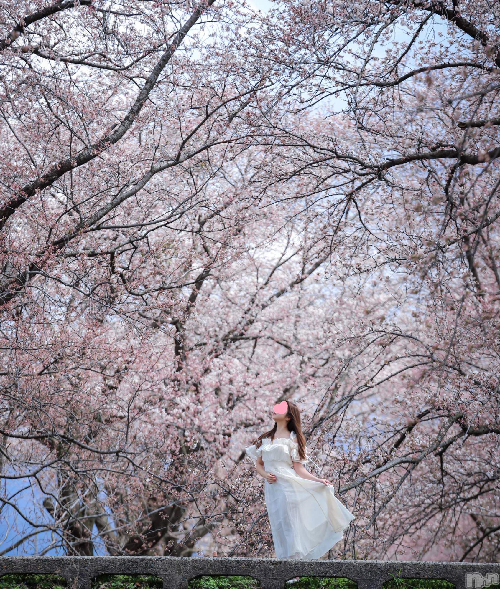 㡦ȯĥꥢ󥺥Levre(졼֥) 2025ǯ415̥֥֥ϥޤȥϥޤ❤️