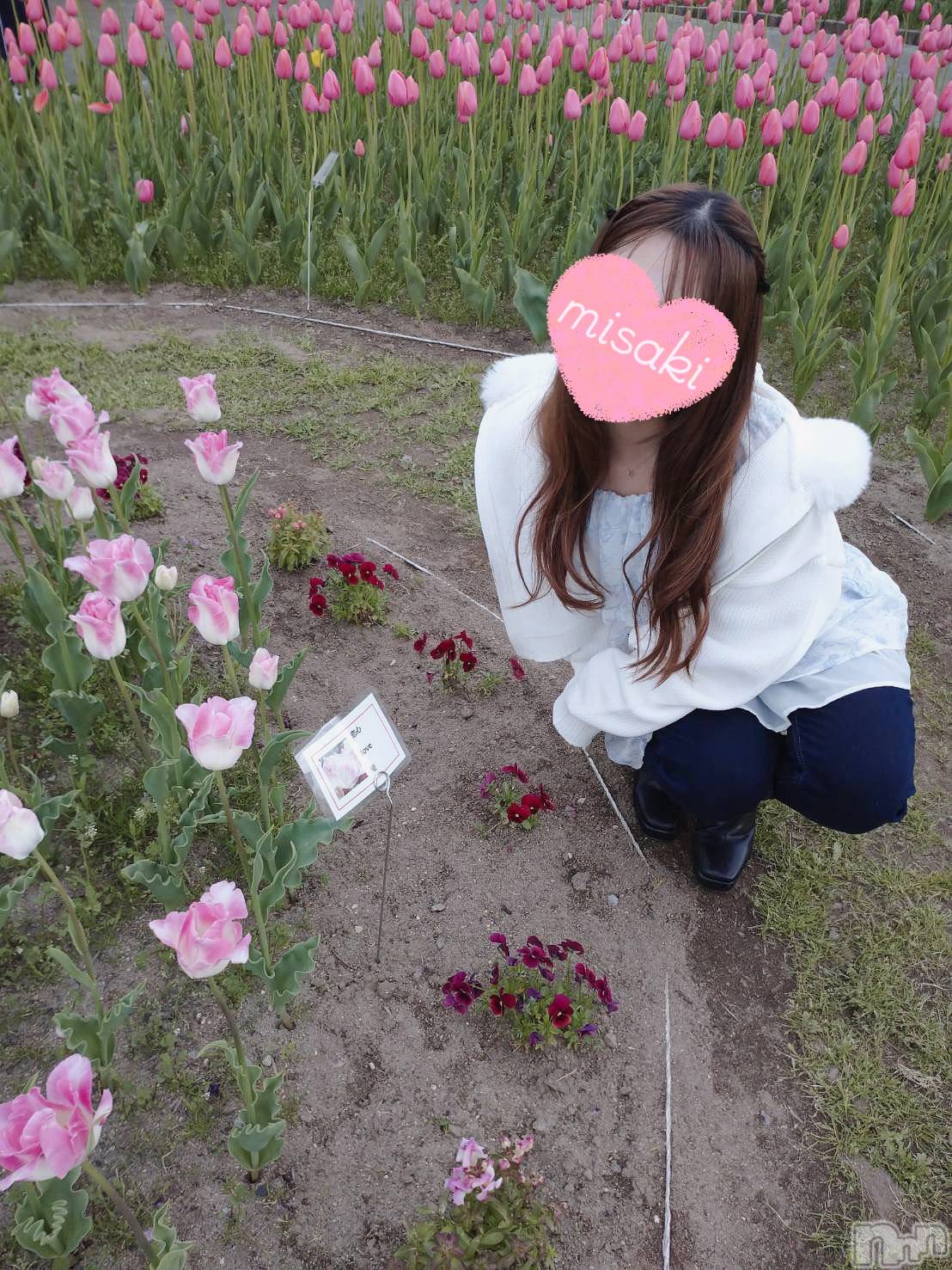㡦ȯĥꥢ󥺥Levre(졼֥) 2025ǯ53̥֥֥塼åפ̾🌷❤️