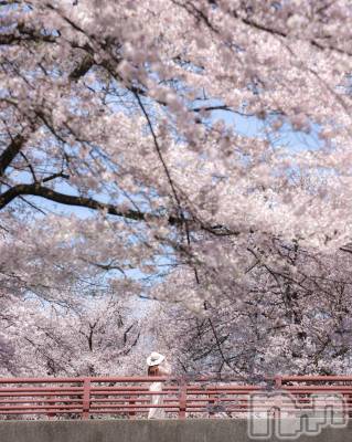 㡦ȯĥꥢ󥺥Levre(졼֥)  ߤ414ֺ̥֥🌸