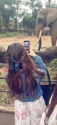 㡦ȯĥꥢ󥺥Levre(졼֥)  ߤ1010ָ̥֥ػư