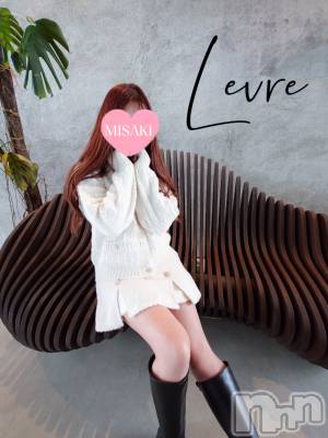 㡦ȯĥꥢ󥺥Levre(졼֥)  ߤ1030̥֥֥饿♡*