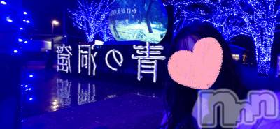 㡦ȯĥꥢ󥺥Levre(졼֥)  ߤ1216̥֥֥Υ̩🩷ྀི
