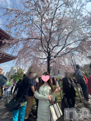 㡦ȯĥꥢ󥺥Levre(졼֥)  ߤ329ֺ̥֥ǯʚ🌸ɞ