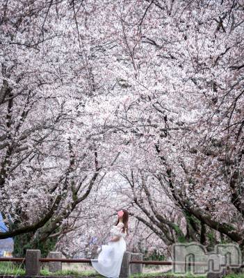 㡦ȯĥꥢ󥺥Levre(졼֥)  ߤ413ֺ̥֥ߤ🌸❤️