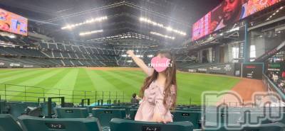 㡦ȯĥꥢ󥺥Levre(졼֥)  ߤ629̥֥֥ե⚾️