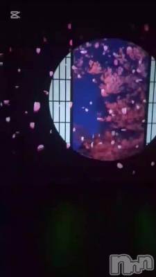 轵νжФ(**)❥❥