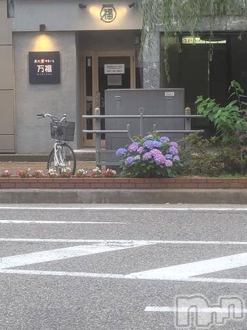 新潟人妻デリヘル新潟人妻デリバリーヘルス 下心 ～したごころ～(シタゴコロ) 片瀬(かたせ)奥様(38)の6月12日写メブログ「シティHにて」