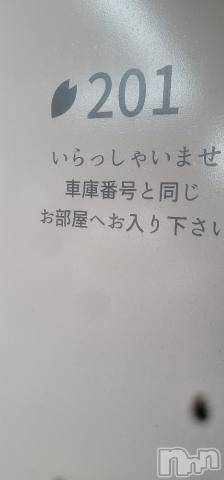 新潟人妻デリヘル新潟人妻デリバリーヘルス 下心 ～したごころ～(シタゴコロ) 片瀬(かたせ)奥様(38)の7月5日写メブログ「お桜にて」