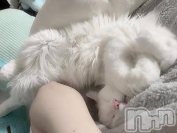 新潟人妻デリヘル新潟人妻デリバリーヘルス 下心 ～したごころ～(シタゴコロ)片瀬(かたせ)奥様(38)の2022年7月11日写メブログ「お題：食物アレルギーとかありますか？に回答♪」