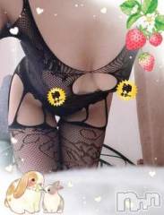 新潟人妻デリヘル新潟人妻デリバリーヘルス 下心 ～したごころ～(シタゴコロ) 片瀬(かたせ)奥様(38)の2月23日写メブログ「やっほい！」