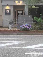 新潟人妻デリヘル新潟人妻デリバリーヘルス 下心 ～したごころ～(シタゴコロ) 片瀬(かたせ)奥様(38)の6月12日写メブログ「シティHにて」