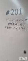 新潟デリヘル新潟人妻デリバリーヘルス 下心 ～したごころ～(シタゴコロ) 片瀬(かたせ)奥様(38)の7月5日写メブログ「お桜にて」