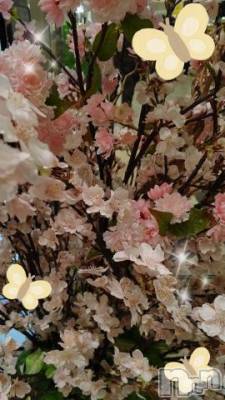 新潟人妻デリヘル 新潟人妻デリバリーヘルス 下心 ～したごころ～(シタゴコロ) 片瀬(かたせ)奥様(38)の4月4日写メブログ「春爛漫」