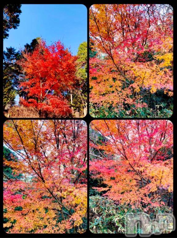 松本発デリヘル松本人妻隊(マツモトヒトヅマタイ) みな(41)の12月23日写メブログ「今日も」