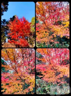 松本発デリヘル 松本人妻隊(マツモトヒトヅマタイ) みな(41)の12月23日写メブログ「今日も」