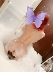 新潟デリヘル新潟人妻デリバリーヘルス 下心 ～したごころ～(シタゴコロ) 綺羅々(きらら)奥様(36)の4月7日写メブログ「全身ぬるぬる」