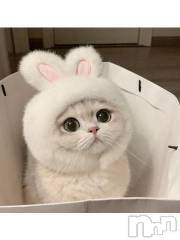 新潟デリヘル新潟人妻デリバリーヘルス 下心 ～したごころ～(シタゴコロ) 綺羅々(きらら)奥様(36)の3月2日写メブログ「おはよ」