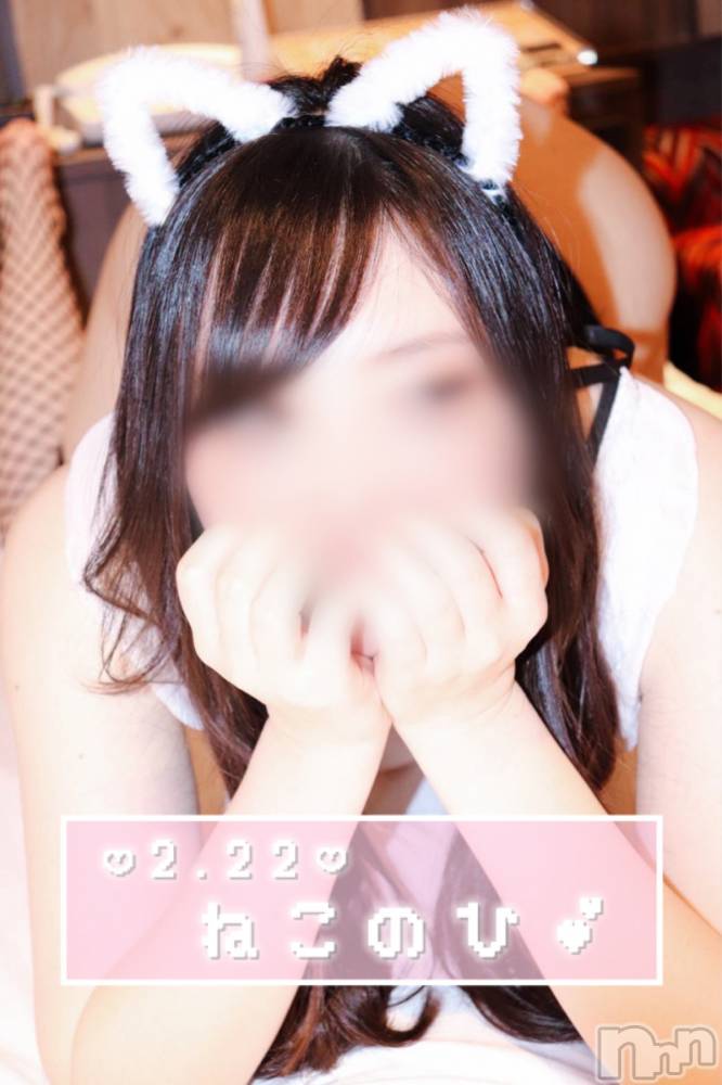 新潟人妻デリヘル新潟の可憐な妻たち～秘密の逢瀬～(ニイガタノカレンナツマタチ～ヒミツノオウセ～) 由良 泉(30)の2月24日写メブログ「猫の日でした🐈🐈‍⬛(過去形)」