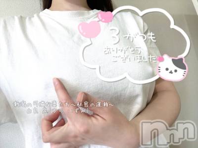 新潟人妻デリヘル 新潟の可憐な妻たち～秘密の逢瀬～(ニイガタノカレンナツマタチ～ヒミツノオウセ～) 由良 泉(32)の3月28日写メブログ「ポチッと|৺ ৺|見えるかな💓」