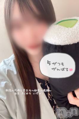新潟人妻デリヘル 新潟の可憐な妻たち～秘密の逢瀬～(ニイガタノカレンナツマタチ～ヒミツノオウセ～) 由良 泉(32)の5月2日写メブログ「改めまして…🙇🏻‍♂️💗」