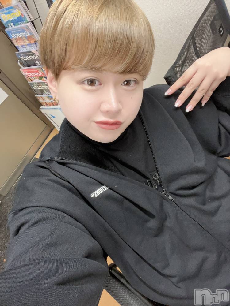 ʥå륺СLE SOLEIL( 쥤) ŷȤߤ1127̥֥֤ޤΡ