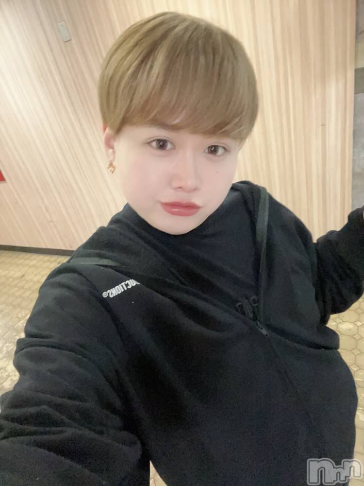 ʥå륺СLE SOLEIL( 쥤) ŷȤߤ121ֺ̥֥ǽï