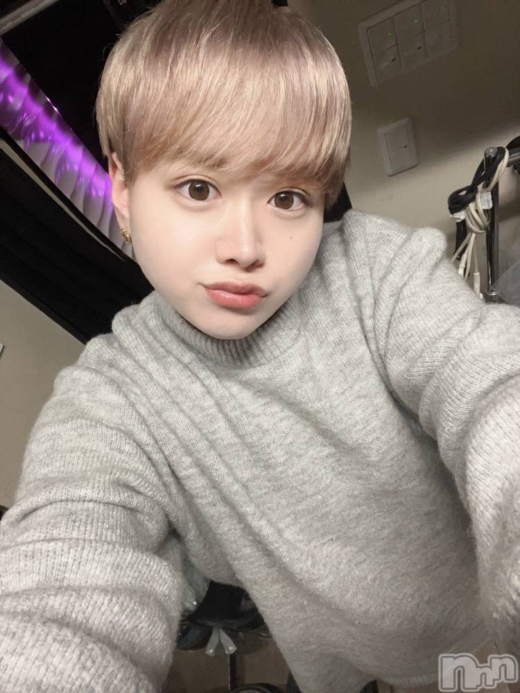 ʥå륺СLE SOLEIL( 쥤) ŷȤߤ126̥֥֥饹ȡ