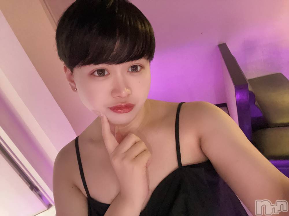 ʥå륺СLE SOLEIL( 쥤) ŷȤߤ329̥֥֤á