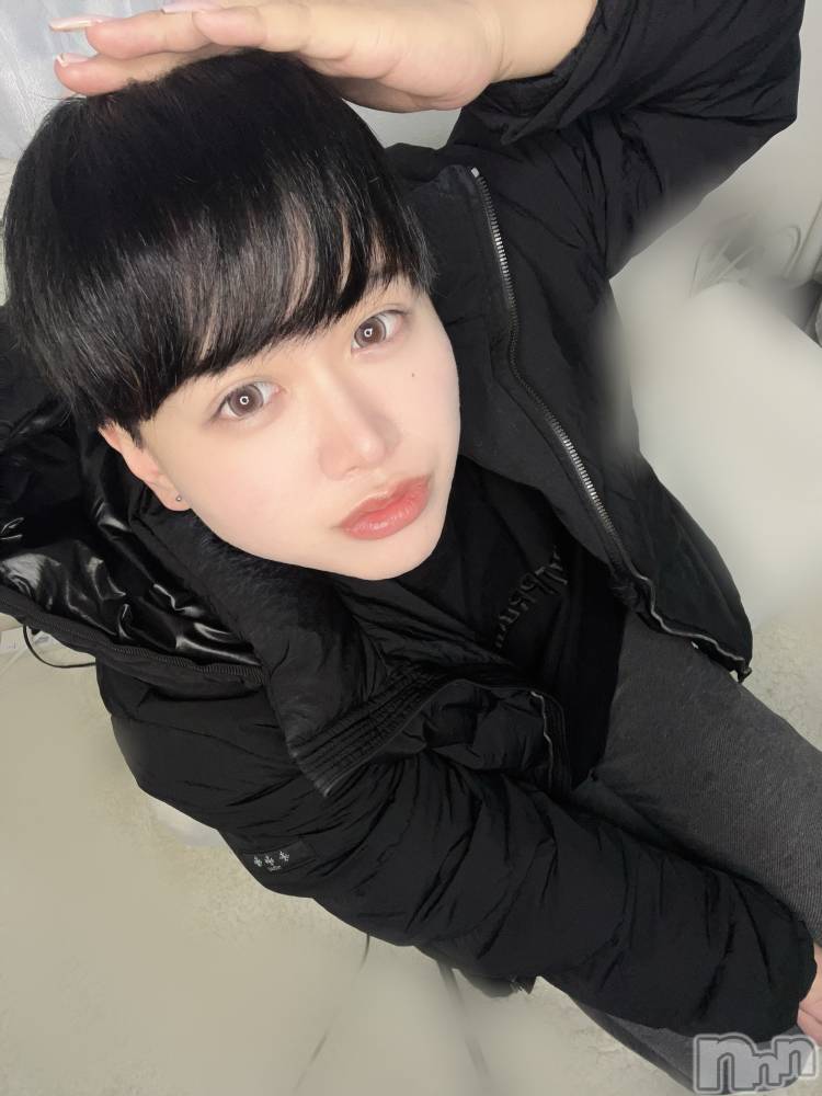 ʥå륺СLE SOLEIL( 쥤) ŷȤߤ330ֺ̥֥ǥ饹ȡ