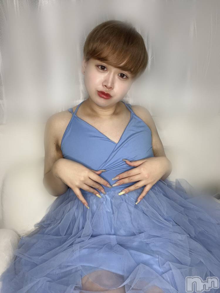 ʥå륺СLE SOLEIL( 쥤) ŷȤߤ41ֺ̥֥