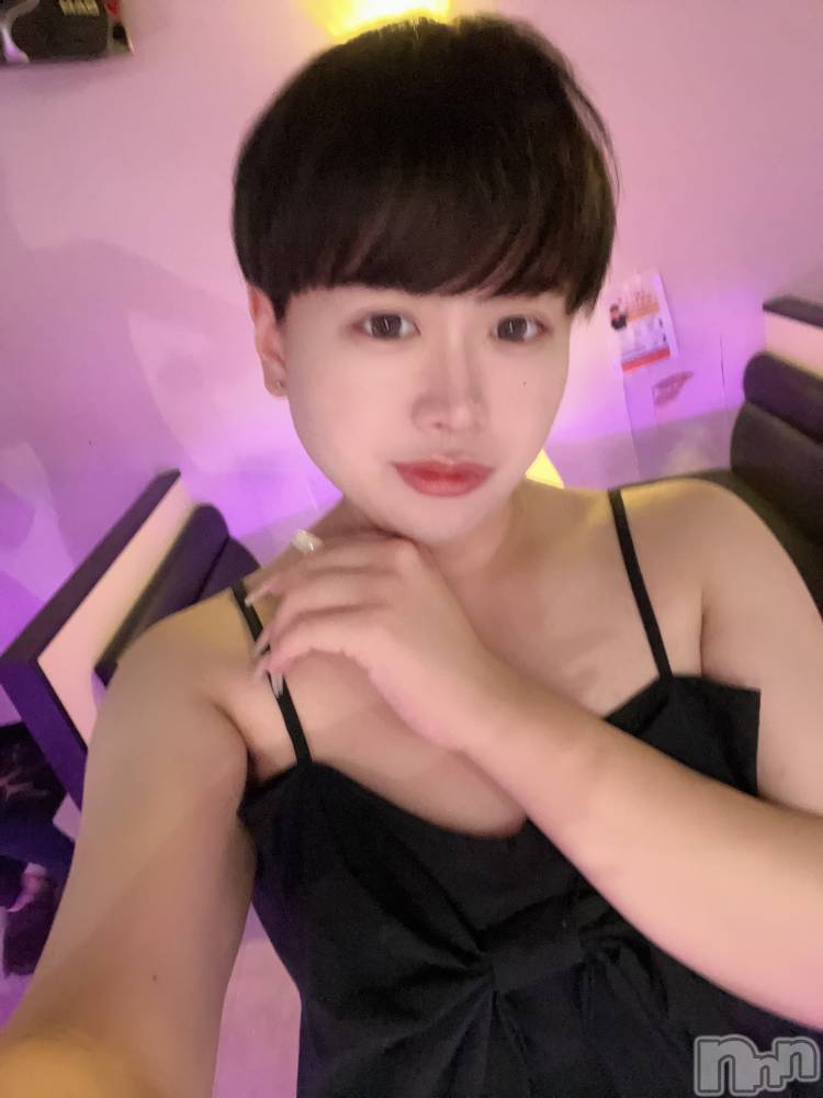 ʥå륺СLE SOLEIL( 쥤) ŷȤߤ43̥֥֤Ѥ