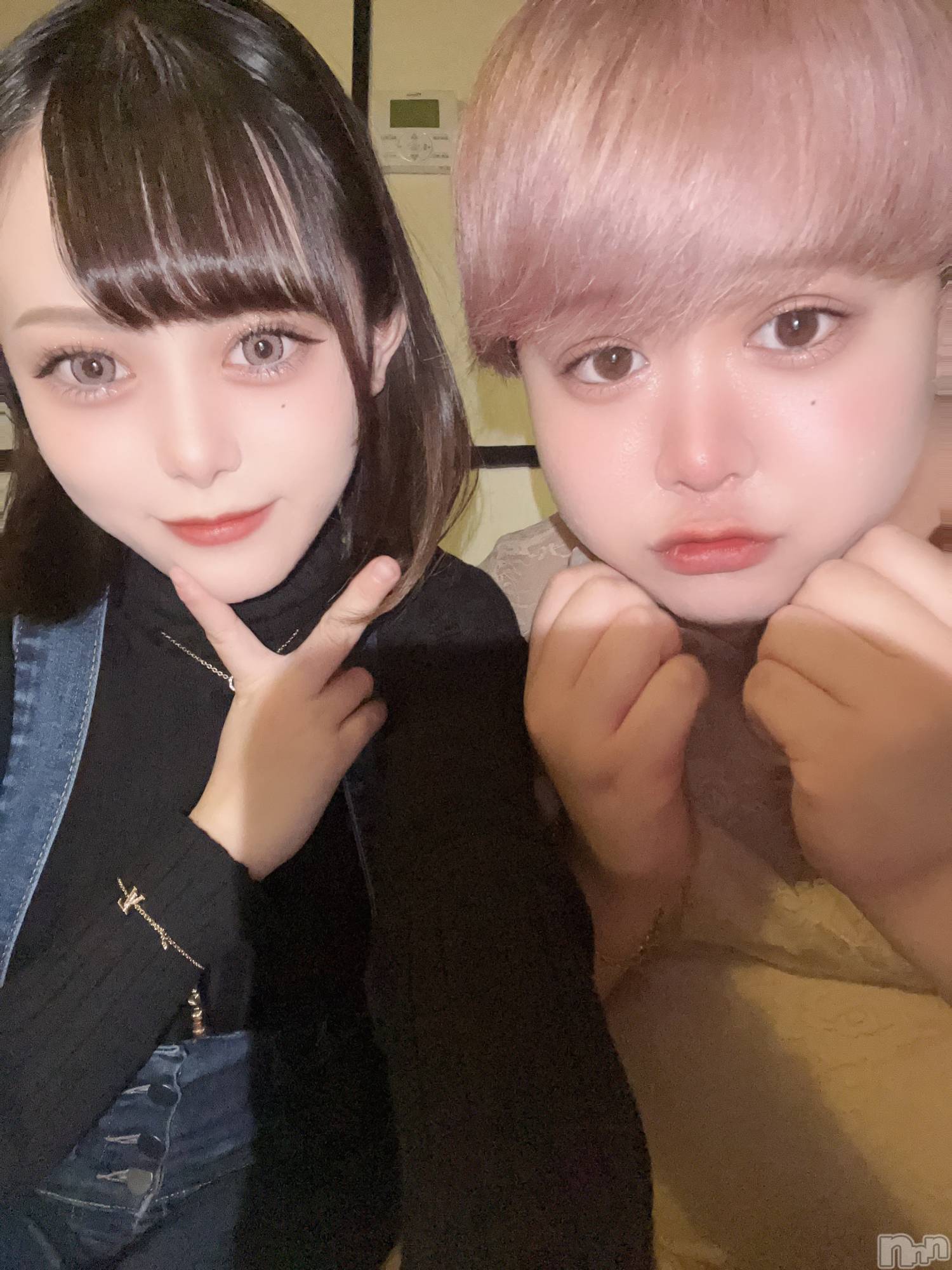 ʥå륺СLE SOLEIL( 쥤) 2023ǯ59̥֥֤Ԥ⤷ޤ󡪡