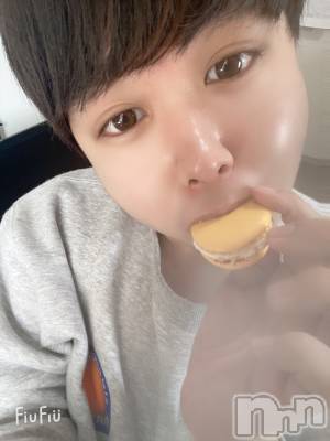ʥå륺СLE SOLEIL( 쥤) ŷȤߤ(22)103̥֥֥ѥ⭐️