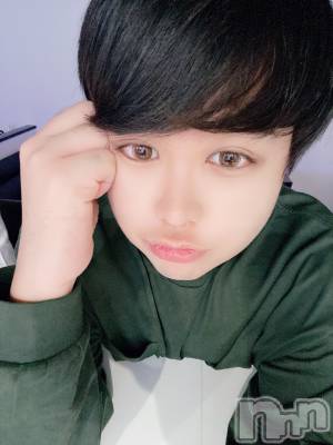 ʥå륺СLE SOLEIL( 쥤) ŷȤߤ(22)104̥֥֥ꥢ뵴ä
