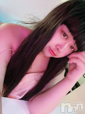 ʥå륺СLE SOLEIL( 쥤) ŷȤߤ(22)53̥֥֤ȤꤢȱФ