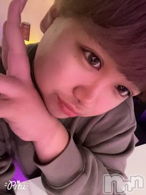 ʥå륺СLE SOLEIL( 쥤) ŷȤߤ(22)311ִ̥֥❓