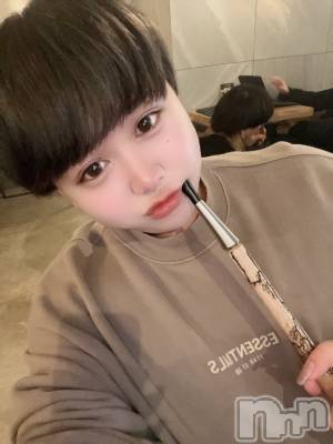 ʥå륺СLE SOLEIL( 쥤) ŷȤߤ(22)513ֵ̥֥ۤä