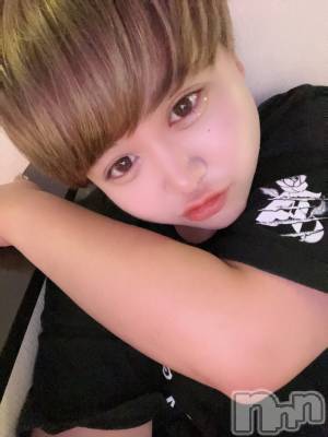 ʥå륺СLE SOLEIL( 쥤) ŷȤߤ(22)87̥֥֥