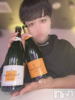 ʥå륺СLE SOLEIL( 쥤) ŷȤߤ(22)89̥֥֤ʤ̵ˡ