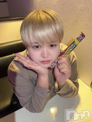 ʥå륺СLE SOLEIL( 쥤) ŷȤߤ(22)116ֲ̥֥Τۻҡ