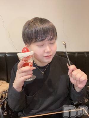 ʥå륺СLE SOLEIL( 쥤) ŷȤߤ(22)621ֽ̥֥