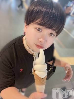 ʥå륺СLE SOLEIL( 쥤) ŷȤߤ(22)830̥֥Ǯޥ