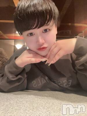 ʥå륺СLE SOLEIL( 쥤) ŷȤߤ(22)108ֺ̥֥⥹ȡ