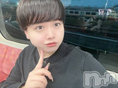 ʥå륺СLE SOLEIL( 쥤) ŷȤߤ(22)109̥֥֤濫