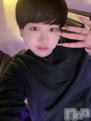 ʥå륺СLE SOLEIL( 쥤) ŷȤߤ(22)1020̥֥֤ä