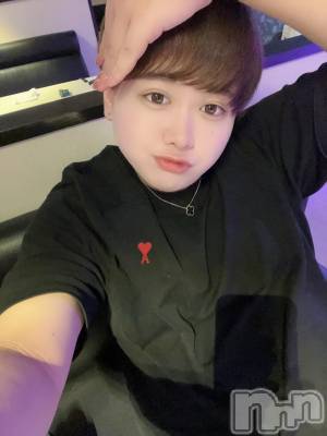 ʥå륺СLE SOLEIL( 쥤) ŷȤߤ(22)1023̥֥֤ˤ͡
