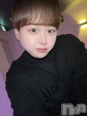 ʥå륺СLE SOLEIL( 쥤) ŷȤߤ(22)113̥֥֥饹ȤǤ